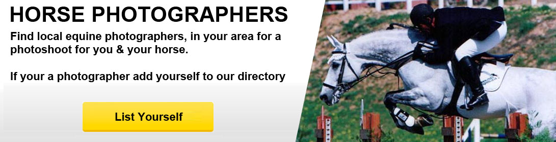 Horse Photographers